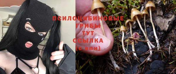 соль курить ск Бородино